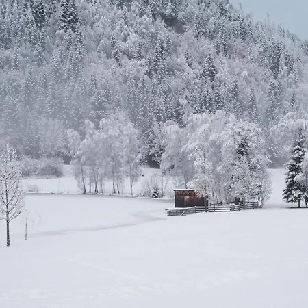 Hotel Seeblick Goldegg