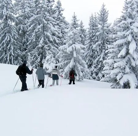 Seeblick Отель 4*