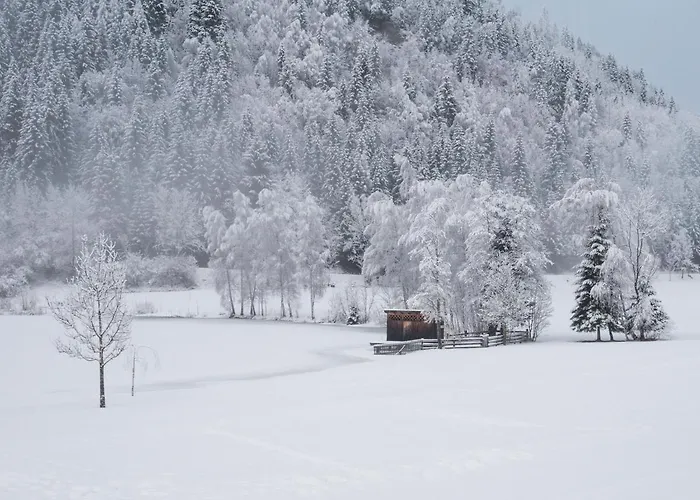 Hotel Seeblick Goldegg